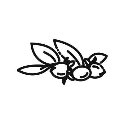 Jojoba